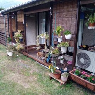 似た者仲間募集 - チャット