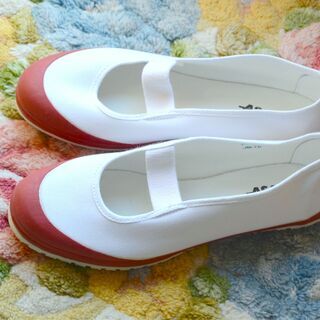 [新品未使用] スクールシューズ 上履き