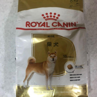 ロイヤルカナン 8ｋg 柴犬 成犬 （アダルト） 生後10ヵ月以上