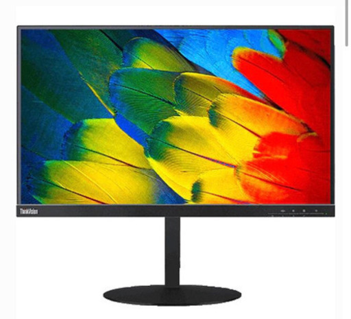 最安 液晶モニタ 24型 type-c LENOVO ThinkVision T24m-10