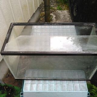 60㎝と30㎝のｱｸﾘﾙ水槽set差し上げあげます
