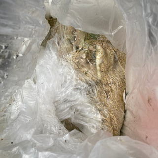 天然ゼオライト、麦飯石、サンゴ、サンゴ砂上げますの画像