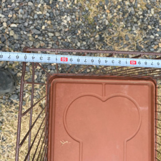 ケージの画像