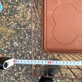 ケージの画像