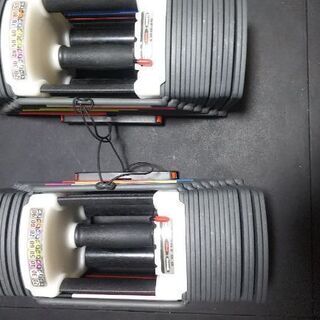 パワーブロックタイプ ダンベル 約40.7kg 2個セット