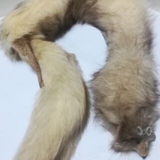 ショール