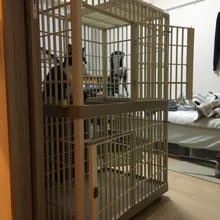 キャットゲージ　アイリスオーヤマ製の画像