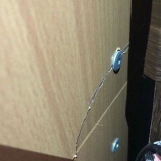 システムベッドの画像