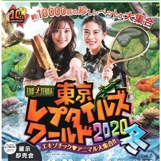 爬虫類に興味ない⁇