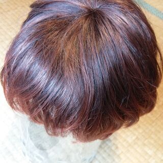 【美品】赤毛　ウィッグ　ショートカット