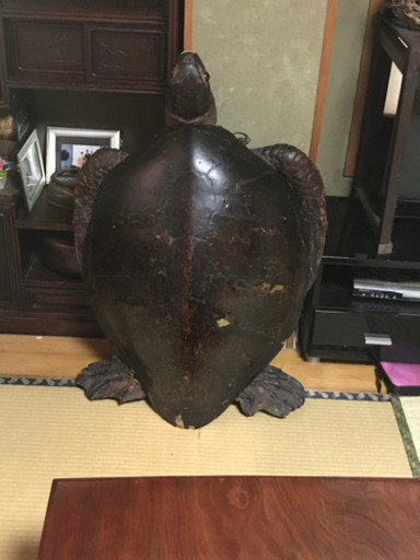 亀の置物、香炉