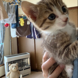 緊急