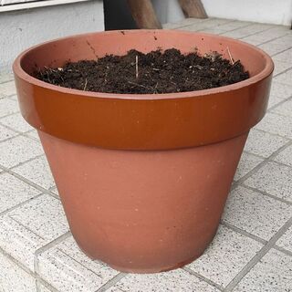 鉢・直径約28cm・素焼き・取りに来れる方限定・札幌市白石区