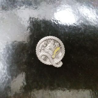 金華山バッジ　岐阜　送料込み　　山バッチ