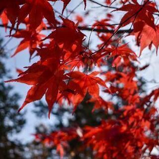 動画編集や画像加工