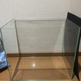45センチ水槽(熱帯魚、海水魚、金魚、メダカ)