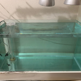 取り引き終了】オーバーフロー水槽セット