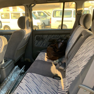 プラド売りますの画像