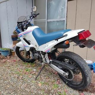 TDR125 3SH レストアベース 引取限定　値下げ受付中の画像