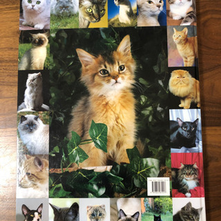 取引中！大きなネコの写真集　CAT  アリスブックランドの画像