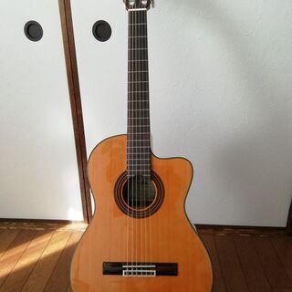 エレガット　ARIA　A-35CE