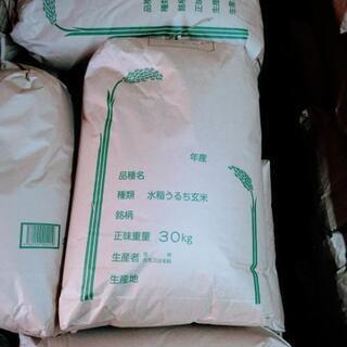 2020年　新米　10kg  ヒノヒカリ