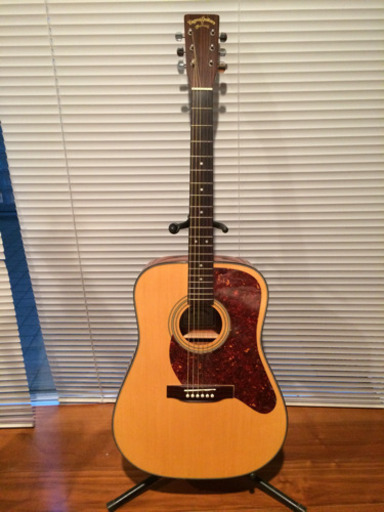 アコースティックギターDM1