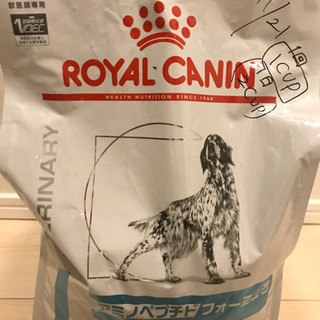 【12/4まで掲載:ドッグフード】ロイヤルカナン　アミノペプチドフォーミュラ　3kgの画像