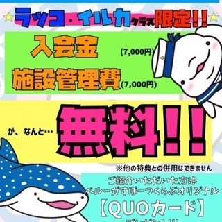 ベルーガ初‼️入会金⭐️施設管理費無料キャンペーン中の画像