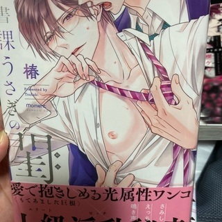 BL  漫画　ボーイズラブ　コミックの画像