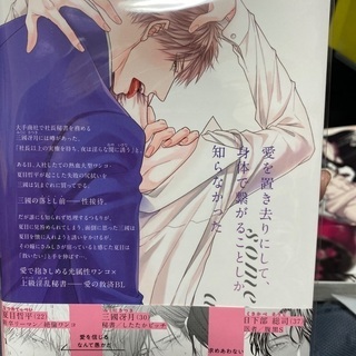 BL  漫画　ボーイズラブ　コミックの画像