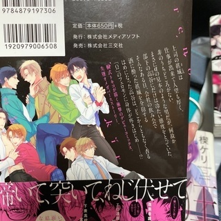 BL  漫画　ボーイズラブ　コミックの画像