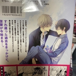BL  漫画　ボーイズラブ　コミックの画像
