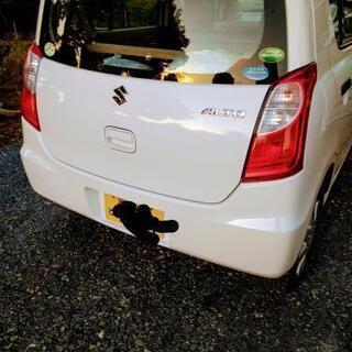 お買い得車。早い物勝ちの画像