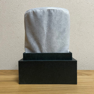 BOSE HOME SPEAKER 300の画像