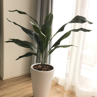 人工観葉植物　フェイク　大型
