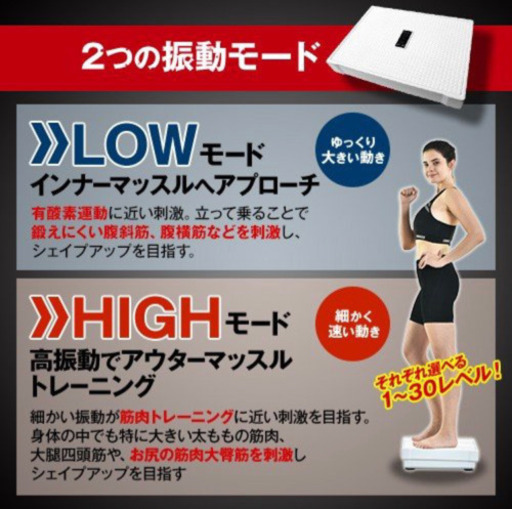 ダブルワンダーウェーブライト、振動マシン②