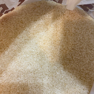 古米　鳥の餌　2kg