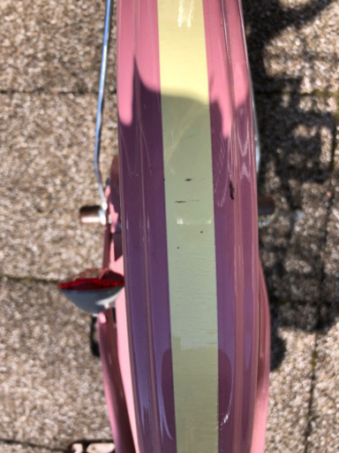 お譲り先決まりました。