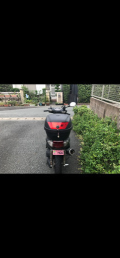 シグナス