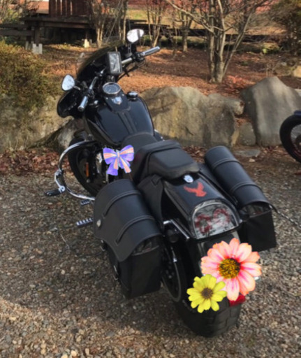 行先決まりました！
