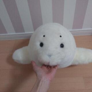 お顔厳選！【水族館購入！】ビックサイズ！ごまちゃんのぬいぐるみ☆