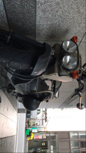 超希少車両❗️ 大人気でとても綺麗なズーマー❗️