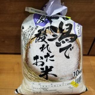 新潟ブレンド米 10キロ弱
