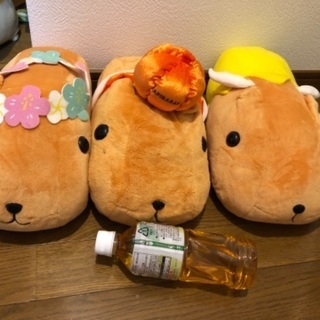 カピバラさんぬいぐるみの画像