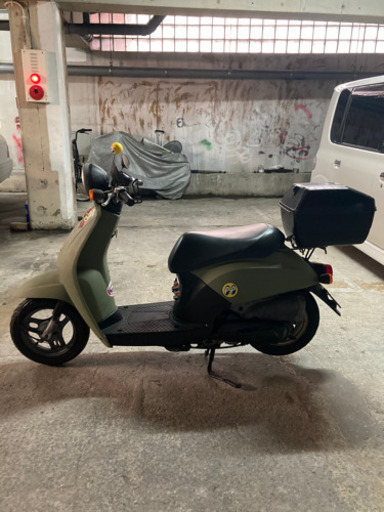 本日１２月１日取引限定値下げ売り原付　艶消しグリーン　ホンダ　トゥディ　af61