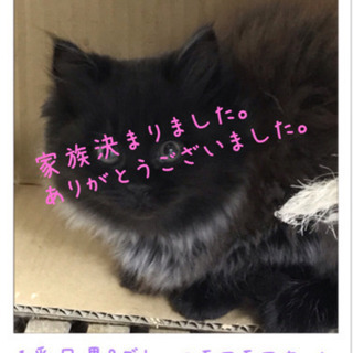 ^ - ^家族全て決まりました。^ - ^