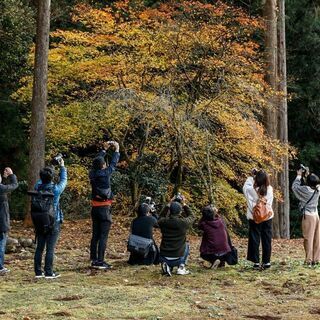 ★福井の魅力を『カメラ』で伝える写真サークルメンバー募集！★