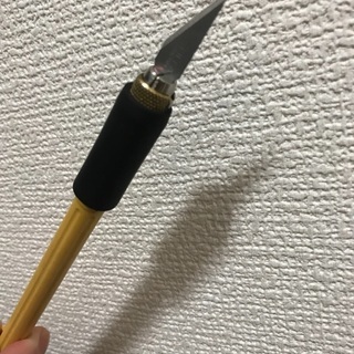 (文章よく読んでからご応募下さい)完全自宅作業　栗の皮むきのよう...