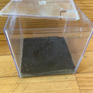 テトラ 小さい水槽 18*18*18 メダカ 金魚 熱帯魚の画像